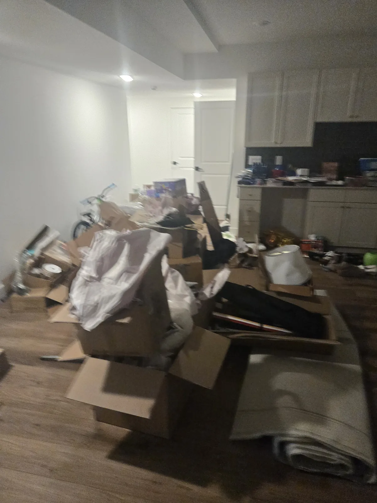 Room piled with cardboard and junk before cleanout