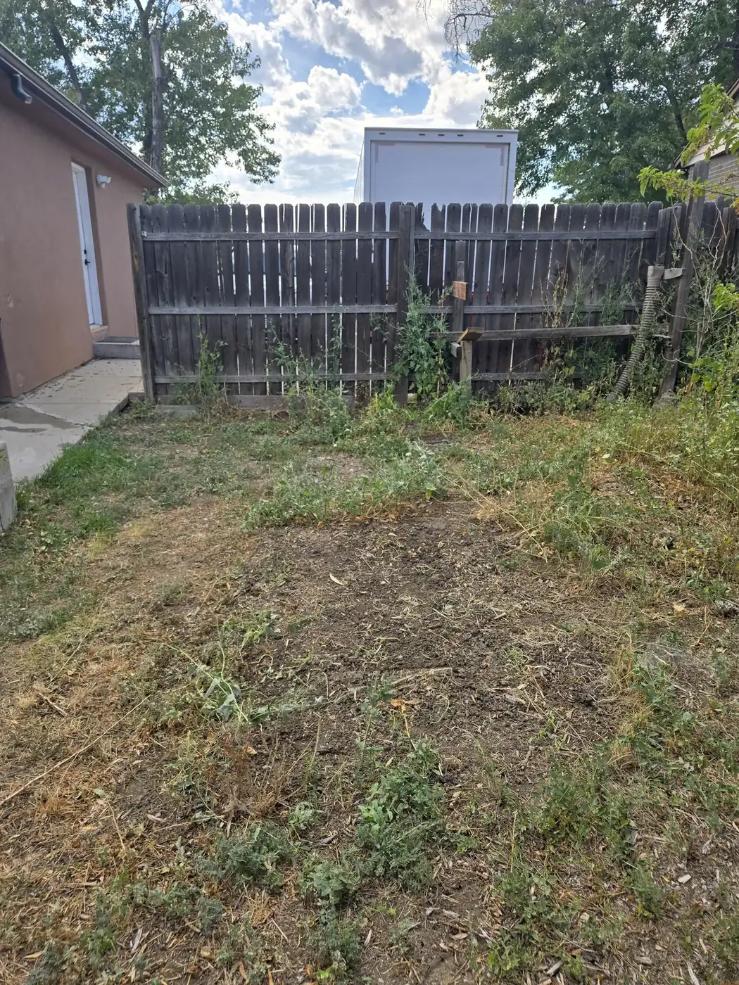 Same backyard cleared after cleanup
